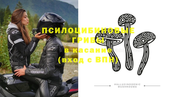 дурь Алзамай
