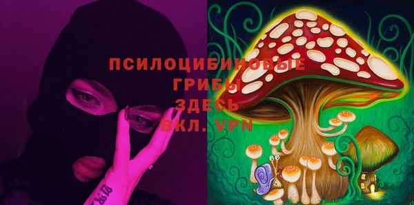 первитин Алексеевка